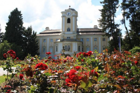 Гостиница Schlosshotel Rosenau Superior  Замок Розенау